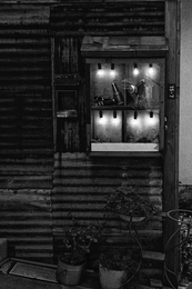 Showcase (on film) 