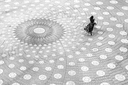Circles of life 