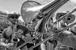 The Band 
