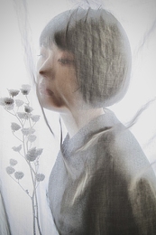 Veil 