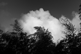 One Day in Late Summer 