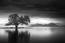 whispers of stillness 