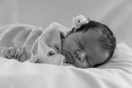 Greta 