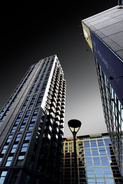 Giants in the city 