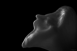 Monologue_series 