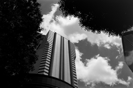Shinjuku Summer  (on film) 