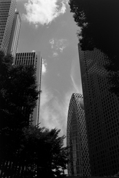 Shinjuku Summer II (on film) 