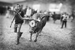 Feira dos Santos - Chaves 