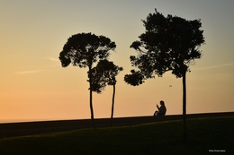 She and the trees... 