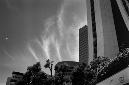 Shinjuku Summer IV (on film) 