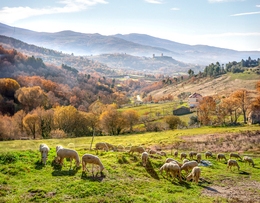 ESTRELA - CASTELO DE LINHARES DA BEIRA 