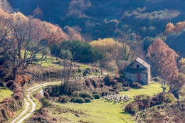 MAGIA DO DO OUTONO NA SERRA 
