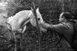 O toque dos olhares... 