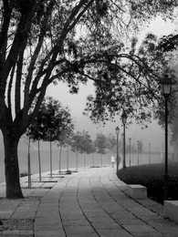 O regresso da neblina 