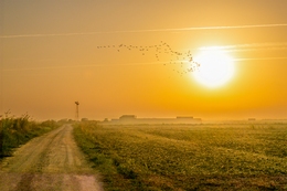 COMEÇA O DIA NA LEZÍRIA 