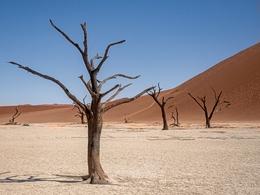 Deadvlei 