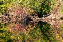 OUTONO EM PONTE DA BARCA 