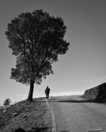 Enquanto houver estrada para andar... 