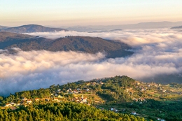 MANTA DE ALGODÃO TAPA O RIO MINHO 