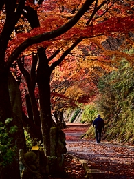 Whispers of Autumn Silence 