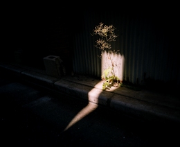 Light forom an angle 