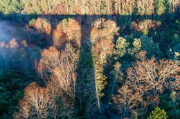  PONTE FERROVIÁRIA DA DEFUNTA LINHA DO TÂMEGA 