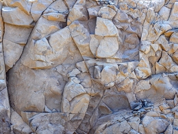 The Gold Miner of Pedra do Ouro 