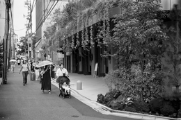 Shopping Walk (on film) 