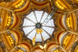 Butterflies in the dome 