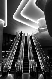 Take one from the three paths 