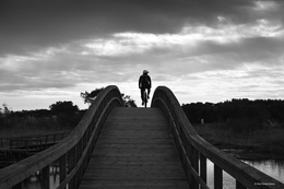 Contra ventos e nuvens___ 