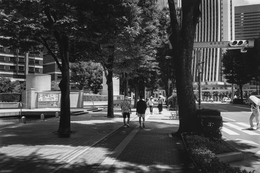 Shinjuku Summer V (on film) 