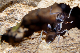 Bunkers and Cemeteries 