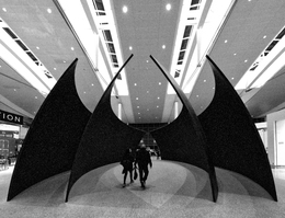 Between the Bat's wings 