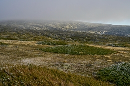 Serra da Estrela 