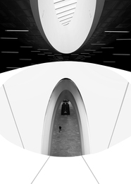 Walking with the stars 