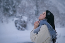 In the Quiet Snowfall 