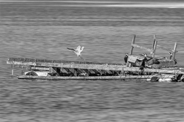 ATERRAGEM NO PORTA AVIÕES 