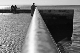 The other half ran away 