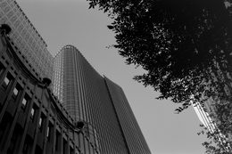 Sky Valley (on film) 