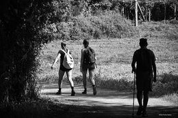 Por Caminhos de Santiago... 