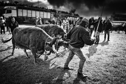 Feira dos Santos - Chaves 