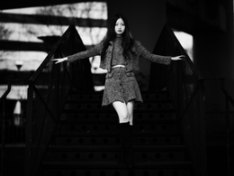 The Iron Became Wings 