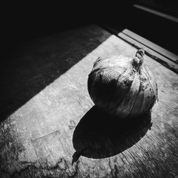 Existentialist Onion 