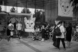 Adoption Event (on film) 