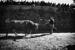 Feira dos Santos - Chaves 