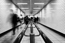 Full speed ahead mister Sulu 