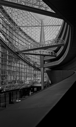 Shadow Woven in Grain 