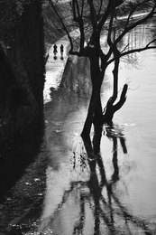 Final de tarde junto ao Tâmega... 