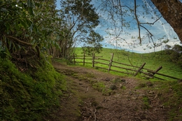 Uma Curva no Caminho 